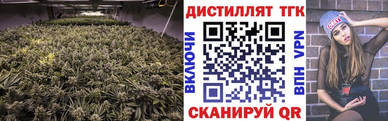 Купить закладки  Чебаркуль  ТГК гашишное масло 