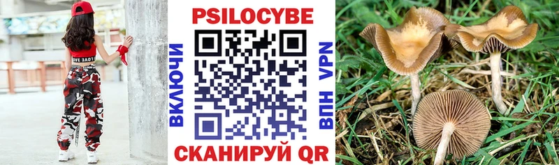 Купить закладки  Чебаркуль  Псилоцибиновые грибы ЛСД 
